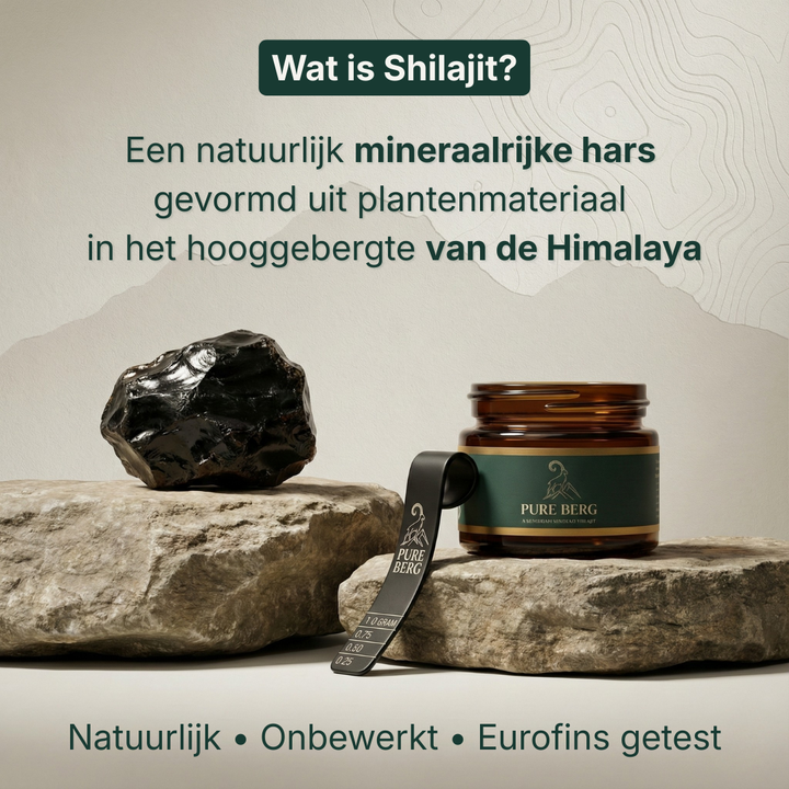 PURE BERG SHILAJIT® | 30 GR